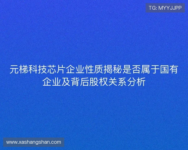 元梯科技芯片企业性质揭秘是否属于国有企业及背后股权关系分析 元梯科技芯片企业性质揭秘是否属于国有企业及背后股权关系分析