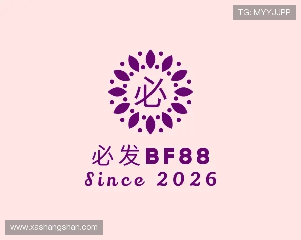 了解必发bf88